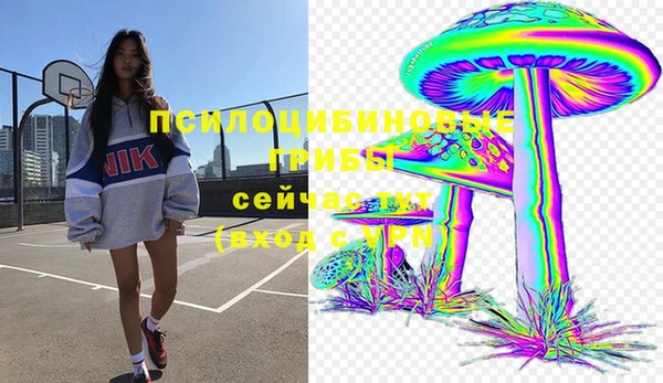 гидра Аркадак