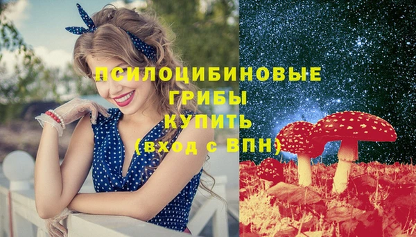 spice Армянск