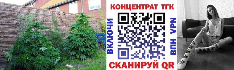 ОМГ ОМГ ссылка цены Иноземцево ТГК вейп
