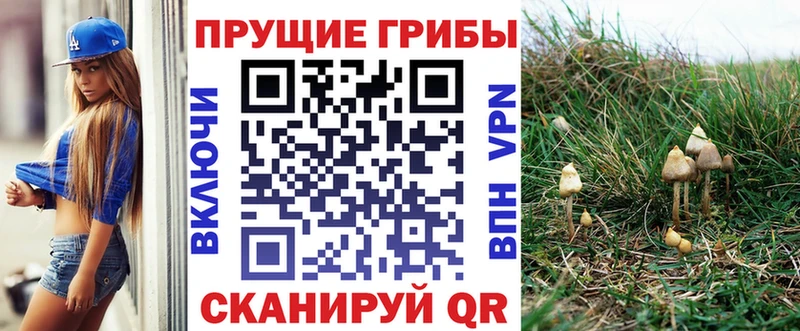 Галлюциногенные грибы GOLDEN TEACHER  где купить наркоту  дарк нет наркотические препараты  Иноземцево  omg как зайти 